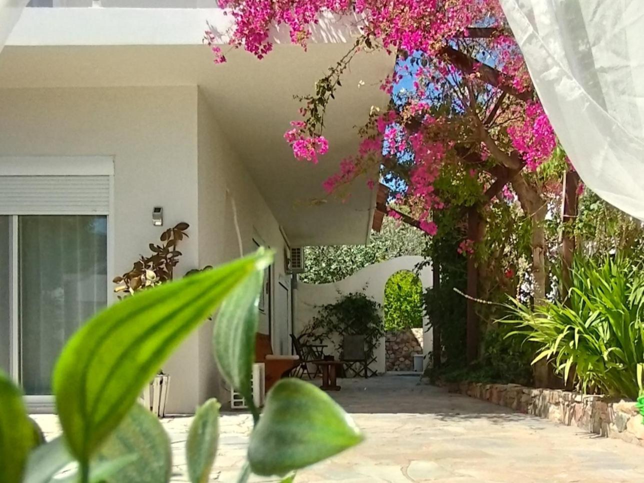 Apartmán Marilen Livadia  Exteriér fotografie